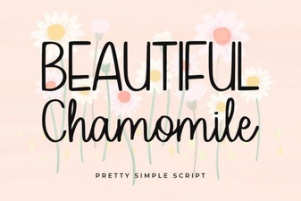 Beautiful Chamomile Font: Design & Download Guide